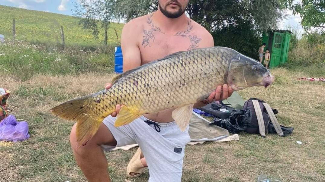 Tortuga Camping &amp; Fishing  Chișinău + 373 6723 6724