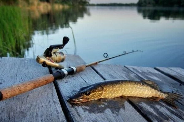 Lacul de lângă satul Bokancha: Refugiu pentru Pescuit în Raionul Sîngerei
