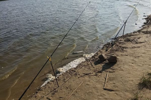 Pescuit pe plată la lacul din satul Kîșkăreni: liniște, natură și pește mare