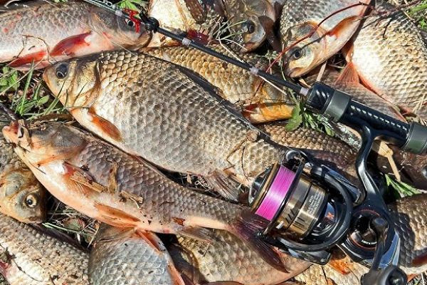 Lacul din satul Braniște: Locul Ideal pentru Pescuit Relaxant